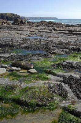 Low Tide