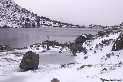 Tarn shelf #2