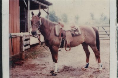 Poco's Lil Mo  4/17/72-8/24/02