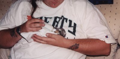 Precious Kitten-2001