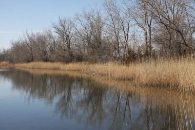 Cozad SWMA