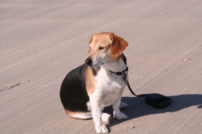 At the beach