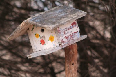 Bird Houses and Nests