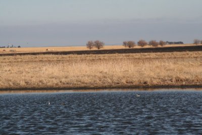 Funk Waterfowl Protection Area