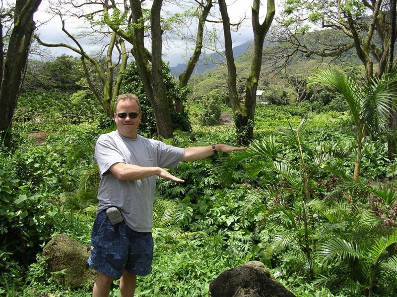 Hula Dave