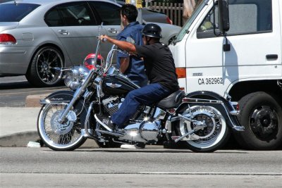 L.A. Harley Davidson