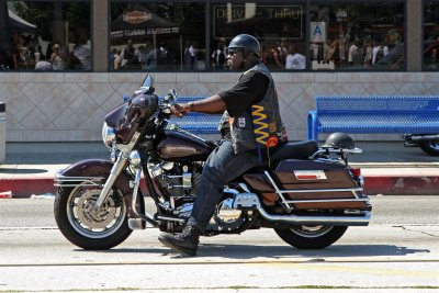 L.A. Harley Davidson