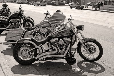 L.A. Harley Davidson