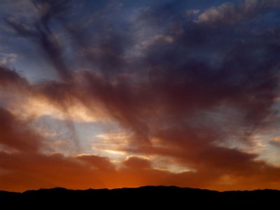 Newhall CA