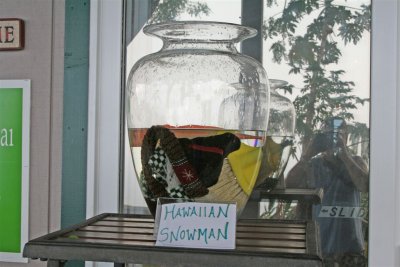 Hawaiian Snowman