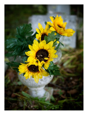 Synthetic sunflowers at the grave