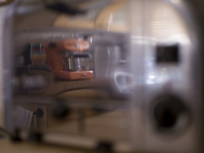 Reflections in a Dualit Toaster