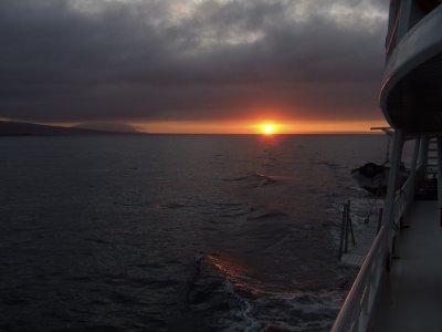galapagos_animals