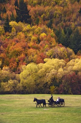 Autumnal romance, Arrowtown, Otago, New Zealand