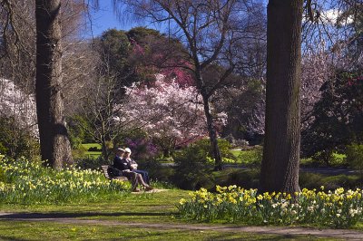 The Golden Years, Hagley Park, Christchurch, New Zealand