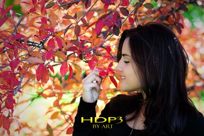 HDP3 Th8