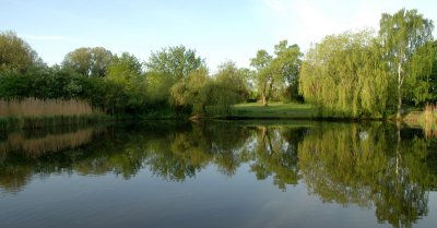 Water reflection I