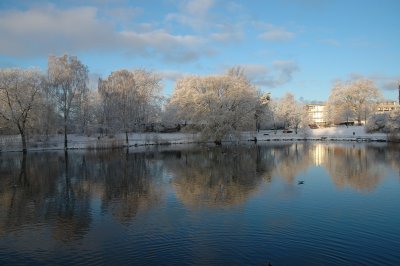 Winter wonderland, Lake Stadium