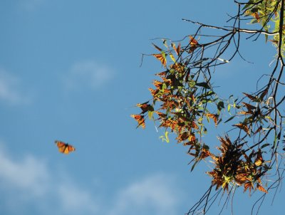 DSC_3304.jpg