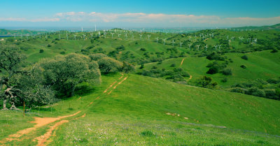 pacheco_state_park