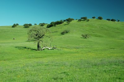 pacheco_state_park