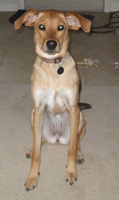 lola004.jpg