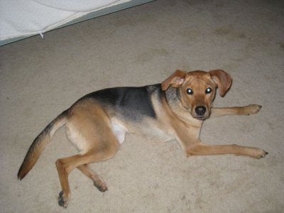 lola005.jpg