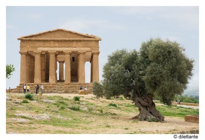 Temple Of Concord, Agrigento