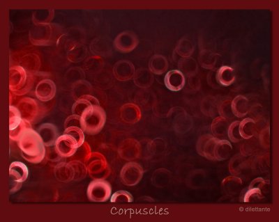 Corpuscles (DPC#47)