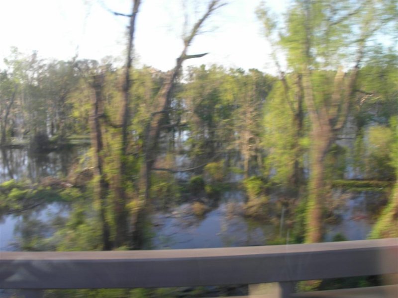 Crossing the Atchafalaya Swamp Causeway