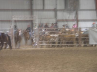 Calf roping arena-blurred but you get the idea