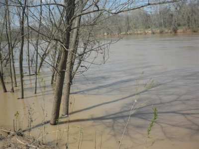 Stephen Austin SP-Brozos River-very high & quick moving