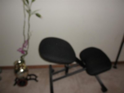 Swedish chair & vase