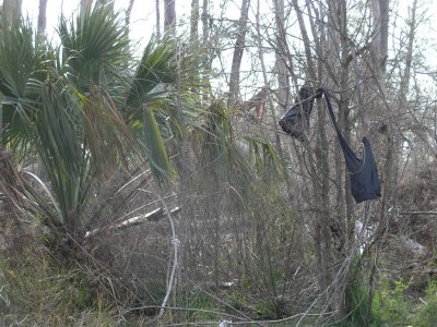 Katrina 2 years later, Bay St Louis, MS