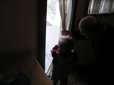 Jack & Zack peeking out window