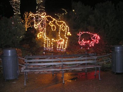 Lincoln Park  Zoo Lights