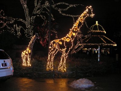 Zoo Lights 2007