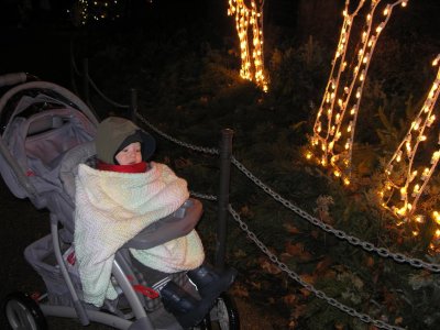 Z is for Zachary and Zoo Lights