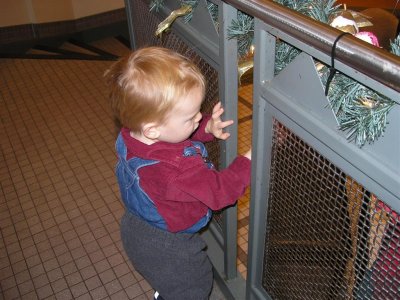 Zachary at Lincoln Park Zoo 12/2/07