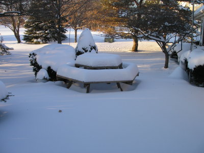 Snow on the picnic table.  December 2007