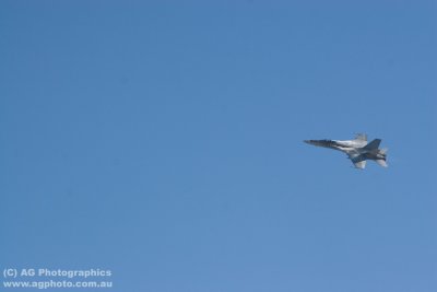 IMG_9890.jpg