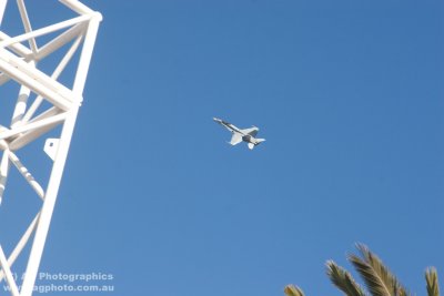 IMG_9893.jpg