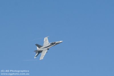 IMG_9904.jpg