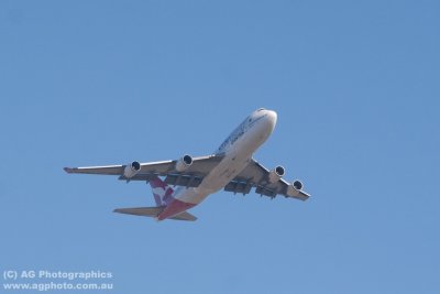 IMG_9945.jpg