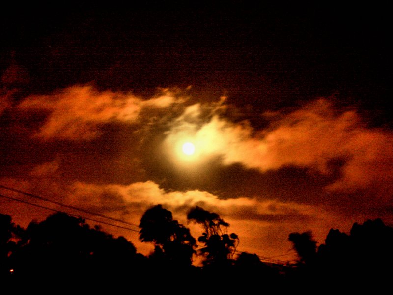 Moonlight from my window.JPG