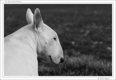 et des poussires...