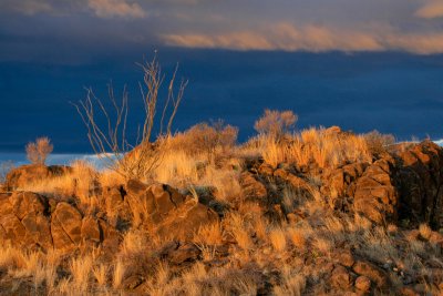 Morning at Big Bend Ranch State Park