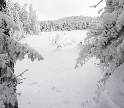 240 Lonesome Lake