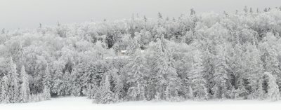 270 The roof lines of Lonesome Lake Hut were just visible between the trees..