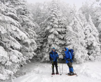 280 Snow and ice covered trees.JPG